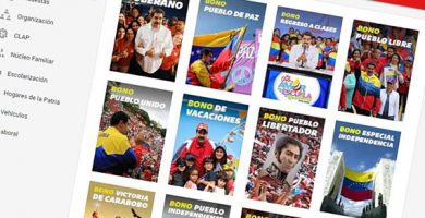 bonos de la patria venezolanos